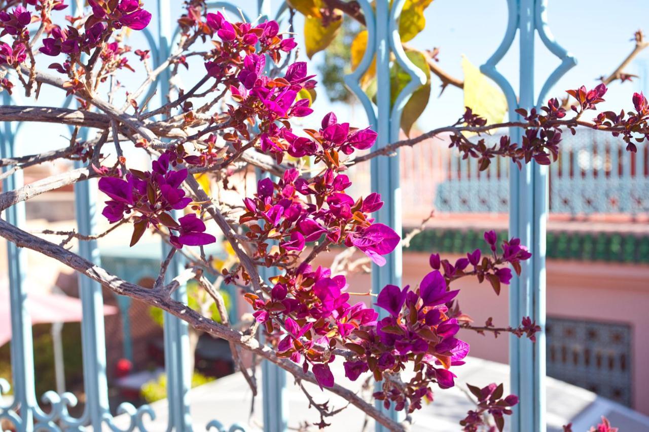 Riad Atlas Acacia Marakéš Exteriér fotografie